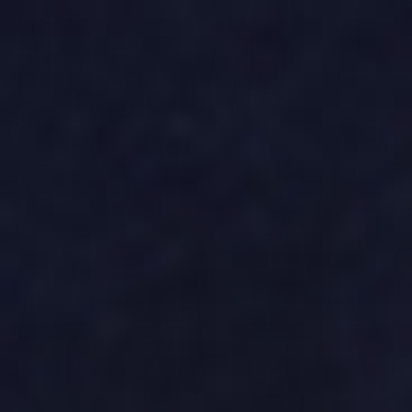 PACK DE 3 BOXER COURTS