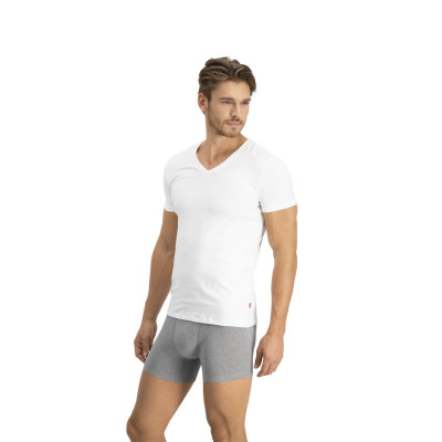 LEVIS MEN V-NECK 2P